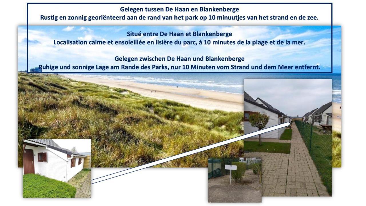Vakantiehuis 48 Wenduine Esterno foto